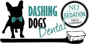 Dog teeth cleaning services with no sedation